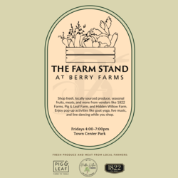The Farm Stand at Berry Farms