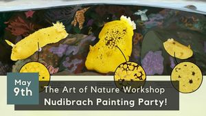 Nudibranch Painting Party!