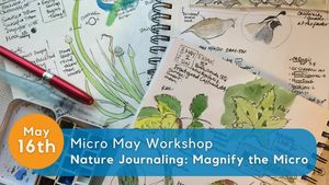 Micro May Nature Journaling: Magnify the Micro