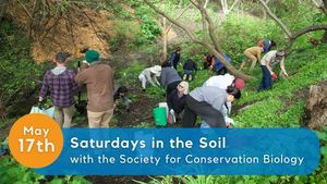 Saturdays in the Soil with the Society for Conservation Biology
