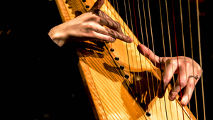 Water in the Desert Concert