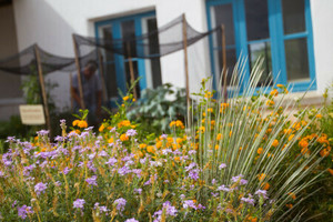 Gardens of Canoa Ranch