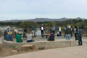 El Rio Preserve Nature Trek