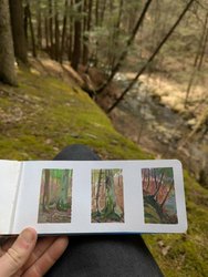 Closing Reception: Joe Klockowski NY Landscapes, "Pockets Full of Lichens & Seeds" April 18
