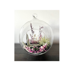 Patchwork Presents Air Plant Terrarium Craft Workshop