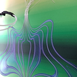 RenaisSENSES: Artist Talk with Anke Loh