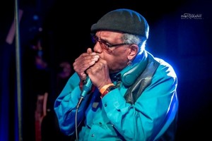 The Undaunted Professor Harp at the Shepherd Center