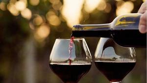 Luxury Wines with Marianne!