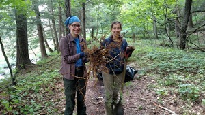 Thursday Stewardship Days