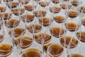 The Old World: UNCORKED