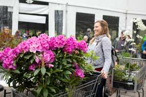 FONA Garden Fair & Plant Sale