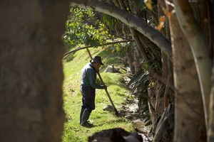 Fred Elser First Sunday Science: The Indigenous Roots of Organic Agriculture