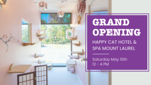 Grand Opening: Happy Cat Hotel and Spa Mount Laurel