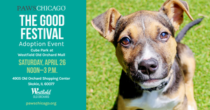 The Good Festival Adoption Event