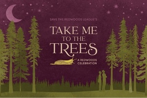 Take Me to the Trees: A Redwoods Celebration