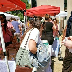 Embassy Day at ArtRave