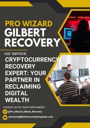 How to Recover Money Lost to Online Scams Hire PRO WIZARD GIlBERT RECOVERY.