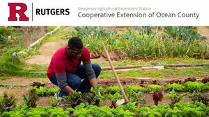 'Get Your Veggies Growing' at the Ocean County Library Stafford Branch