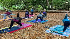 Yoga in Nature