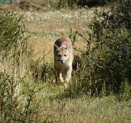 Outside Voices at the Adirondack Mountain Club Genesee Valley Chapter Meeting