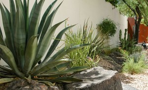 Earth Day | Rooted in Story: An Afternoon of Indigenous Storytelling