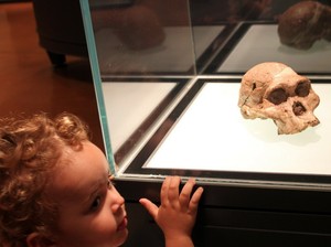 Profs & Pints DC: Becoming Human