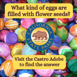 Spring at the Castro Adobe Open House