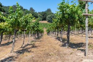 Terroir in a Glass, Taste of Terroir Dinner Series
