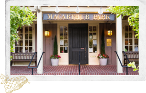 Silicon Valley Party for Single Professionals, 50+