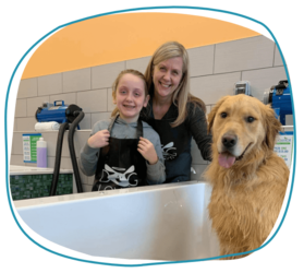 Pet Evolution "Washes for Wishes"