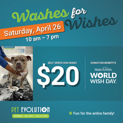 Washes for Wishes at Pet Evolution – April 26