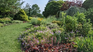 The Garden at Elm Bank - Open Daily!