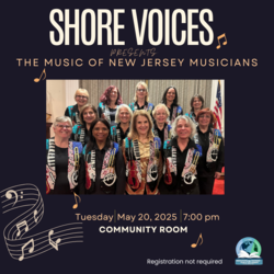 Shore Voices