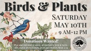 Birds & Plants