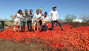 CGT Composting Workshop Hosted with U of A Compost Cats