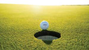 Military Appreciation Month: Veterans Event Golf Simulator