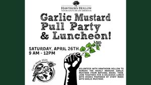 Garlic Mustard Pull Party & Luncheon