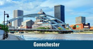 Gonechester