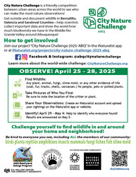 City Nature Challenge 2025