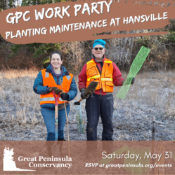 Stewardship Work Party with GPC