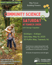 Community Science Saturday: Budding Flowers
