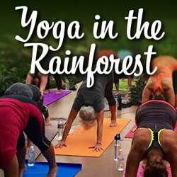 Yoga in the Rainforest @ Butterfly Wonderland