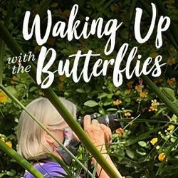 Waking Up With Butterflies (For Photographers)