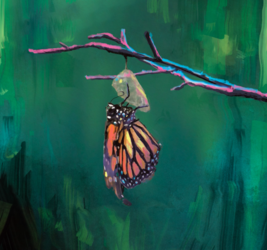 Crown Hill Speaker Series: Resting Place, A Documentary