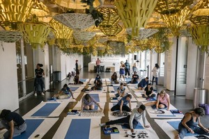 Educator Workshop | Color Alchemy