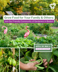 Grow Food for Your Family & Others at the Sisters of St. Joseph Community Gardens