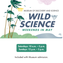 Wild Science Weekends at Museum of Discovery and Science