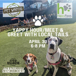 Yappy Hour / Meet and Greet