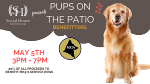 Pups On The Patio - MK9s