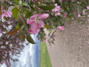 Mothers in Nature Breakfast